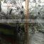 Chinese Green Marble Price Per Square Meter Cold Jade Marble Slab
