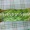 fengshui wheel lucky bamboo air bonsai tree dracaena sanderiana indoor ornamental aquatic water plants nursery garden decoration