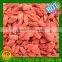 Hot Sale Ningxia Dried Goji Berry 500 Per 50g