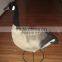 hunting goose decoys