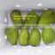 Fresh Soursop - High Quality and Best Price