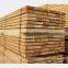 Siberian Cedar Wood