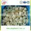 IQF Frozen Cauliflower Products