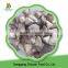 High Quality China IQF Frozen Shiitake Mushroom