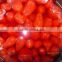 Chinese high quality canned strawberry in light syrup from China 2600g/tins