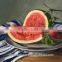 water melon oil