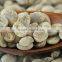 Coffee Beans Arabica Coffee Bean Organic Coffee Beans Supplier