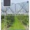 fruit tree anti hail net, hdpe hail protection net, anti hail net, tela antigranizo,contro la grandine rete