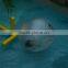 inflatable water walking ball