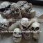 OEM BLOW MOLDING plastic skull Halloween Plastic Flashing Skull for sale
