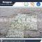 Agricultural soilless vertical cell seed foam tray