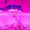 Farm led grow light,growing with led grow lights,full spectrum led 300w