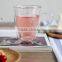 Borosilicate Glass With Handle Heat Resistant Glass With Handle Double Wall Glass With Handle