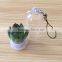 Creative Mini Plant Keychain, Glass Potted Meaty Cactus Plant Design Personality Decorative Keychain Micro Mini Gift Keychain