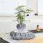 Unique magnetic suspension levitating plant pot