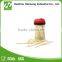 All kinds of packaging bamboo toothpick