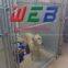 High quality cheap kennel from China