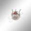 supply Pyroelectric Infrared Radial Sensor--D204S