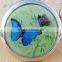 Double-sided Folding/Compact/Pocket/Make Up/Purse/Cosmetic Mirror- Butterfly
