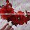 Aidocrystal red rose hair pin flower bobby pins red hair accessories for bridal