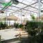 Popular Venlo Glass Hydroponics Greenhouse For Tourism