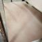 furniture grade poplar plywood 18mm made in China