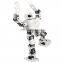 Assembled RoboSoul H5S 16 DOF Humanoid Robot Programmable Robot Education Dancing Robot