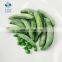 2020 New Crop  Length 4 - 9 cm Thickness < 12.5 cm Double Side Stringless IQF Frozen Sugar Snap Pea