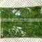 Kosher BQF Frozen Seasoned Wakame Seaweed Salad
