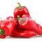 Hand Select Chilli Red Pepper