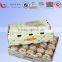 Wholesale Fruit Corrugated Carton Fruit Packing Box
