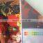 90g Digital Print Silk Fabric for Banner, Flag,dress,pillow