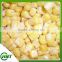 Iqf Sweet Corn