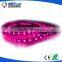 CE ROHS UL 60pcs 120pcs led strip lights 12v 24v 6v led strip 5050                        
                                                Quality Choice