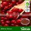 Factory Supply Cranberry anthocyanidin 25% powder Cranberry extract