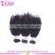 10A grade afro kinky hair 100% unprocessed afro kinky hair extensions mongolian kinky curly afro b hair styles