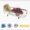 2015 HX Decoration Wire Basket Metal Decoration Wire Basket Steel Decoration Wire Basket