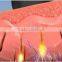 Best Portable shr IPL hair removal beauty machine by Apolo