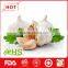 New crop fresh natural garlic of China