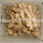 Old Ginger Variety and EXPORT Certification GINGER MATURED 9 MONTHS OLD