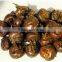 Water Chestnut Exporter
