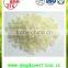 For export bulk IQF Frozen diced onion