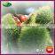 2016 New Crop Organic Harvesting Chinese Fresh Chestnuts