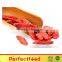 hot sale Dried goji berry organic,conventional goji berry