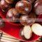2015 Chinese new bulk dried Yanshan origin chestnuts for sale