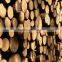 Popular Selling high-quality Wood Powder mill machine
