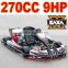 9HP 270cc Racing Go Kart Bodywork