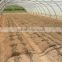 Cheap Professional Greenhouse Used For Vegetables