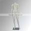 Fashion window sexy headless sitting female mannequins stand