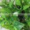 SJ10131020 Foliage green plant/sythetic plant for home decoration